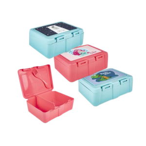 Lunch Box 2 Division with Spork
