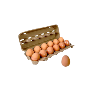 Novelty Ball Bouncing Egg
