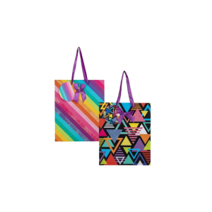 Gift Bag Paper Large 25x32cm Everyday Gift