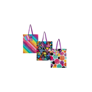 Gift Bag Paper Medium 18x23cm Everyday Gift