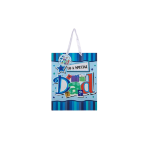 Gift Bag Designer Large 25x32cm Dad
