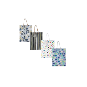 Gift Bag Paper Medium 18x23cm Everyday