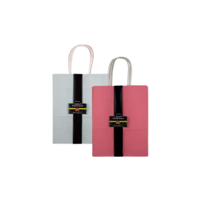 Gift Bag Craft Colour 3 Pack 28x31cm