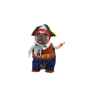 Pet Dog Novelty Clothing Pirate Medium