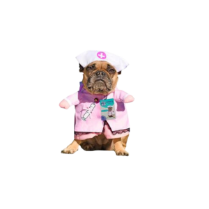 Pet Dog Novelty Clothing Nurse Medium